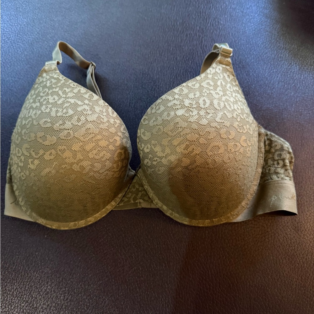 Green Leopard Lace Bra